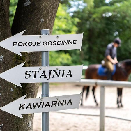 Pokoje Goscinne Cheval Cracovie Extérieur photo