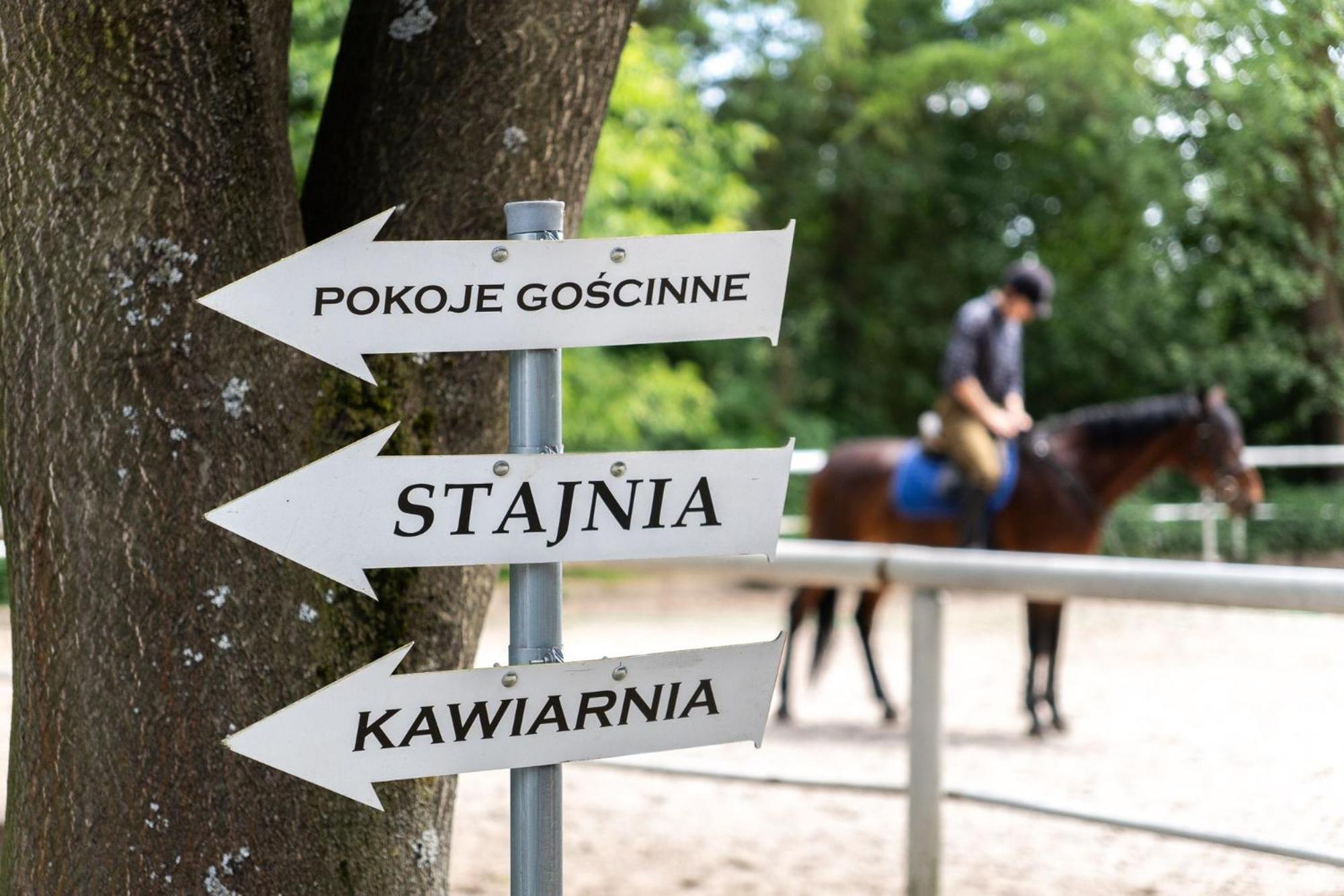 Pokoje Goscinne Cheval Cracovie Extérieur photo